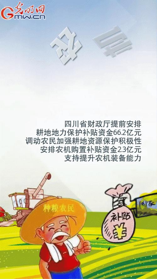 秋粮定江山 多措并举播种压舱石的光芒