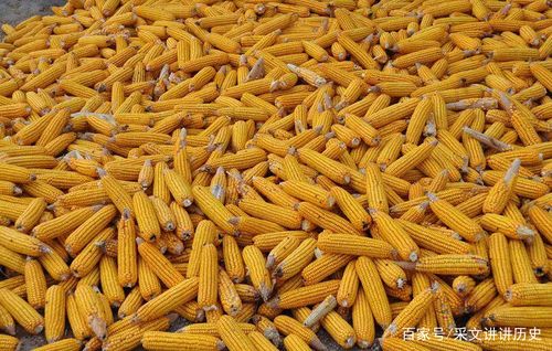 2020年最新商品信息聚合专区 - 爱采购粮食